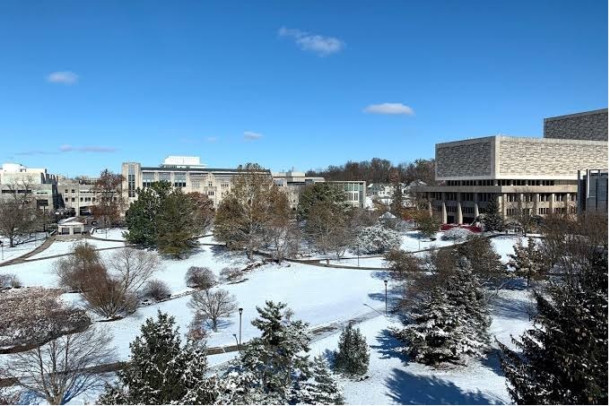 Snow Day